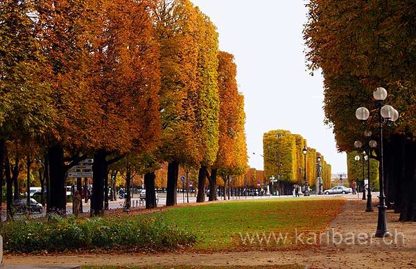 Paris (4777)