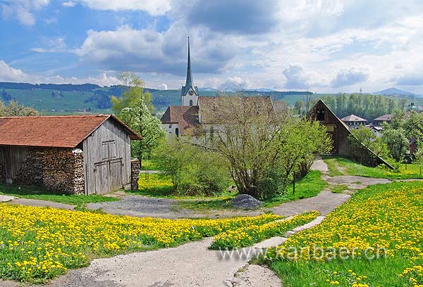 Blick zur Kirche (00657)