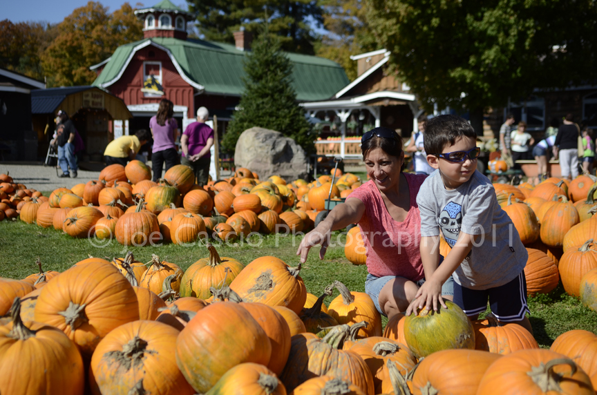 pumpkin_hunting_2011.jpg