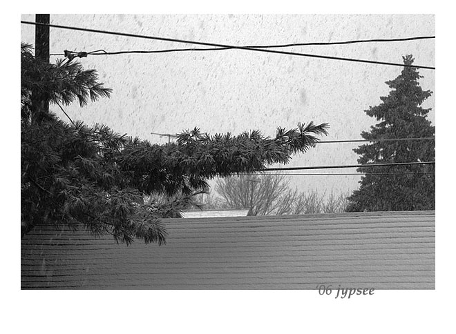a Robert Frost snowfall