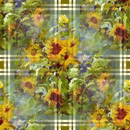 Sunflower.jpg