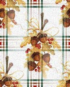 acorns.jpg