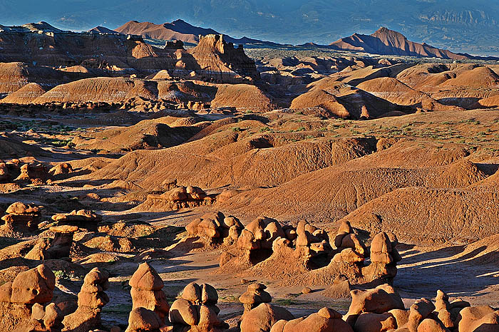 Valley floor in morning light.