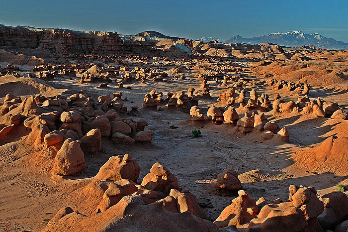 Hoodoos warming up.