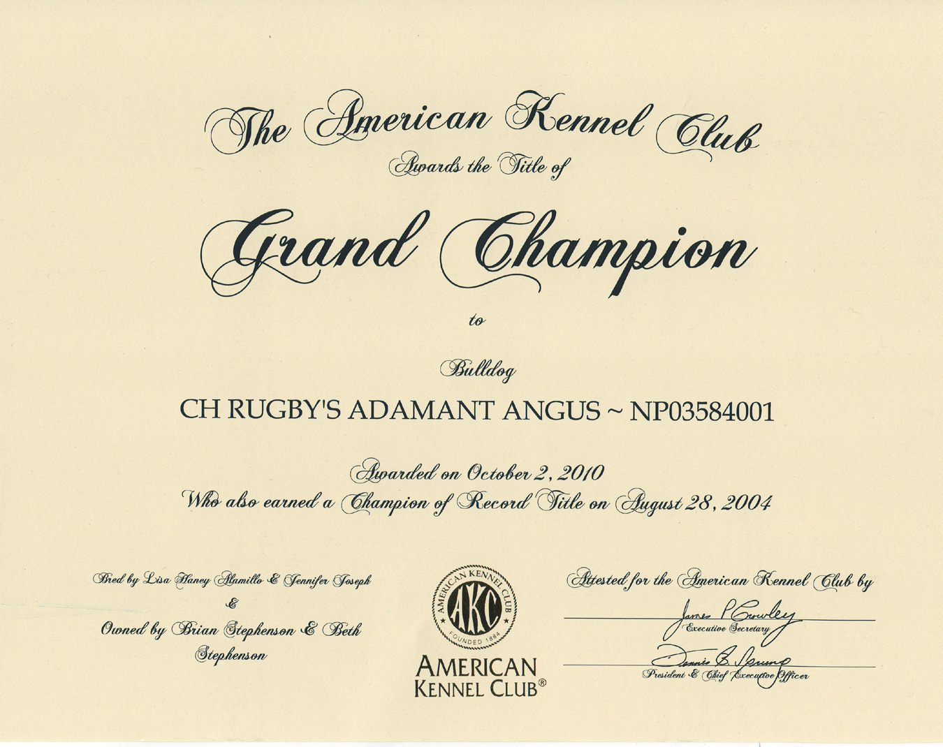 Angus Grand Champion