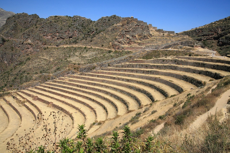 Agricultural Terraces