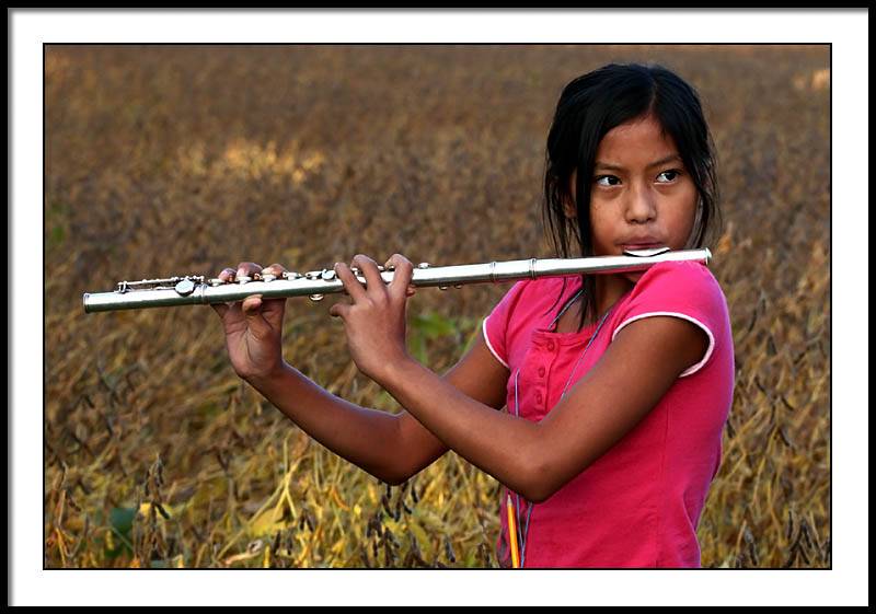sep 28 soy flute