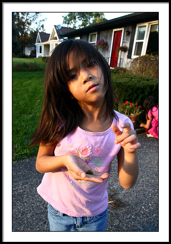 oct 9 berrypicker