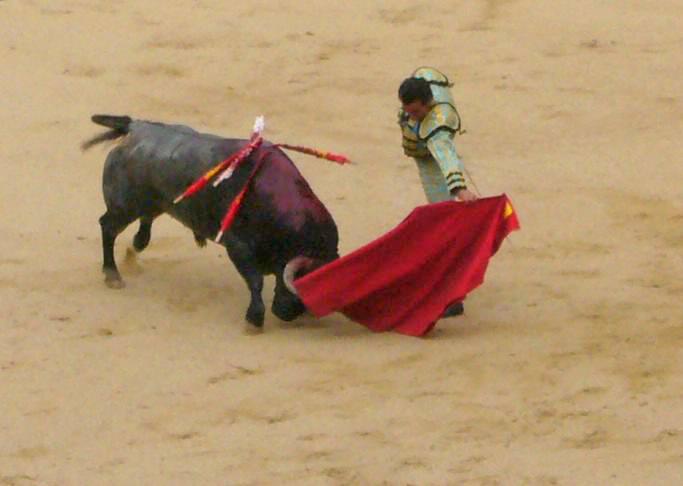 the bull is tiring...