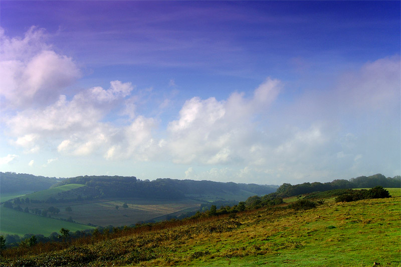 Blue Skies