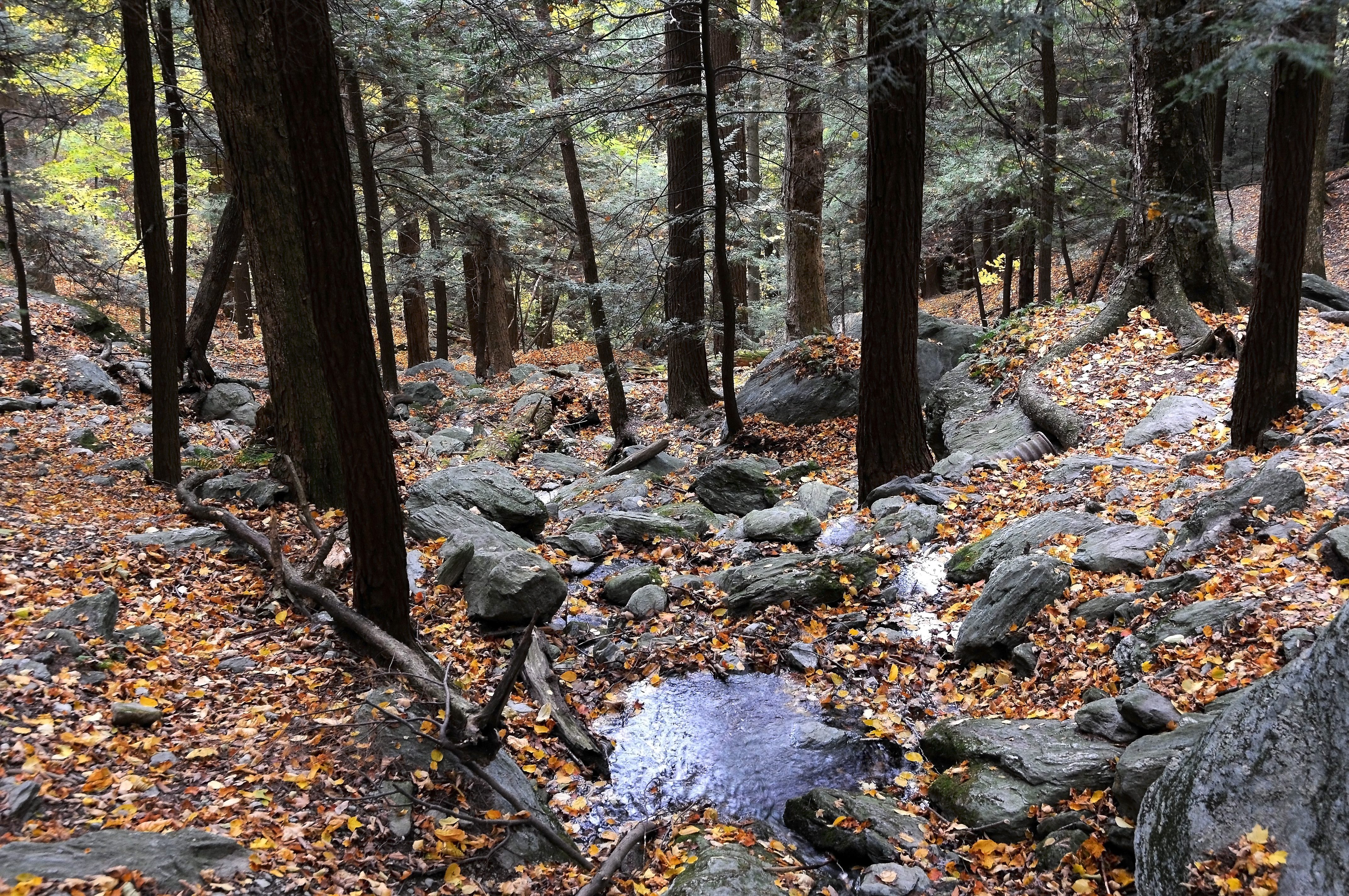 Bash Bish or Copake Falls Trail