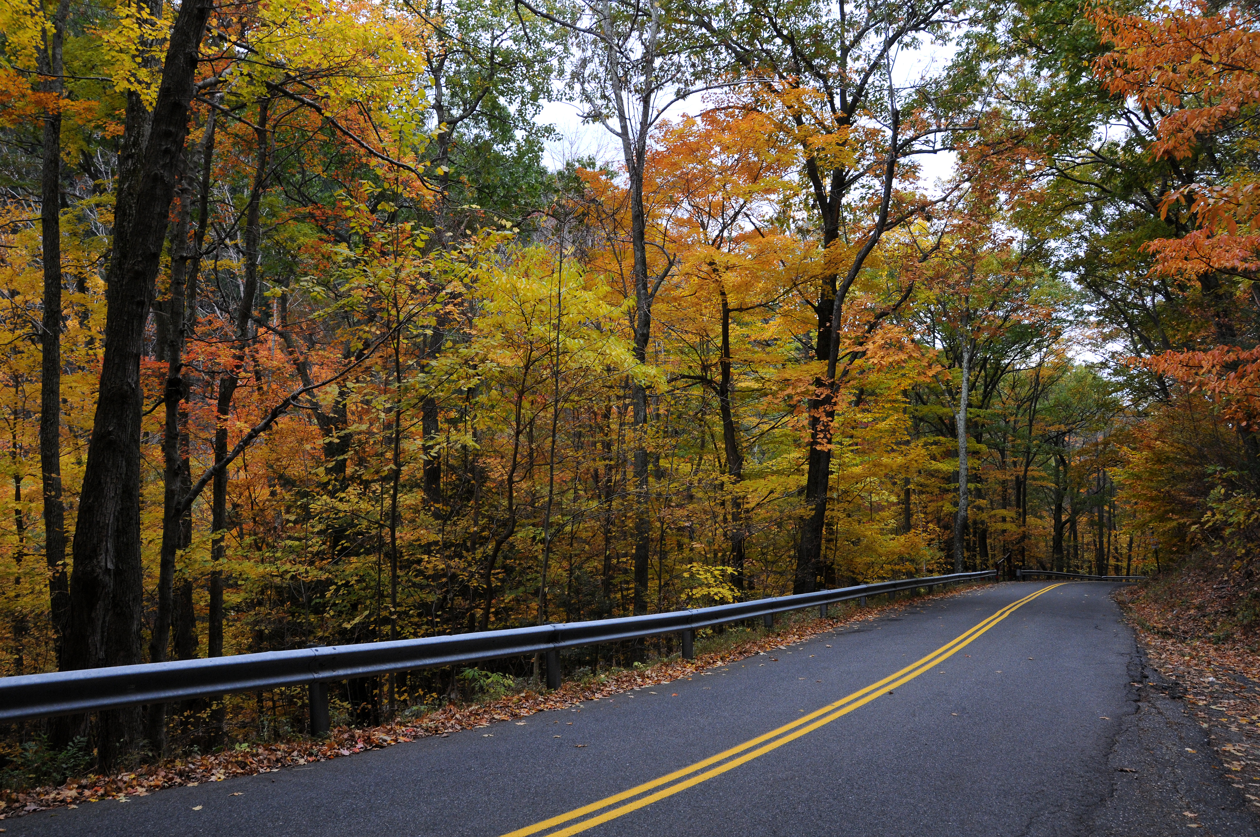 Bash Bish or Copake Falls Road