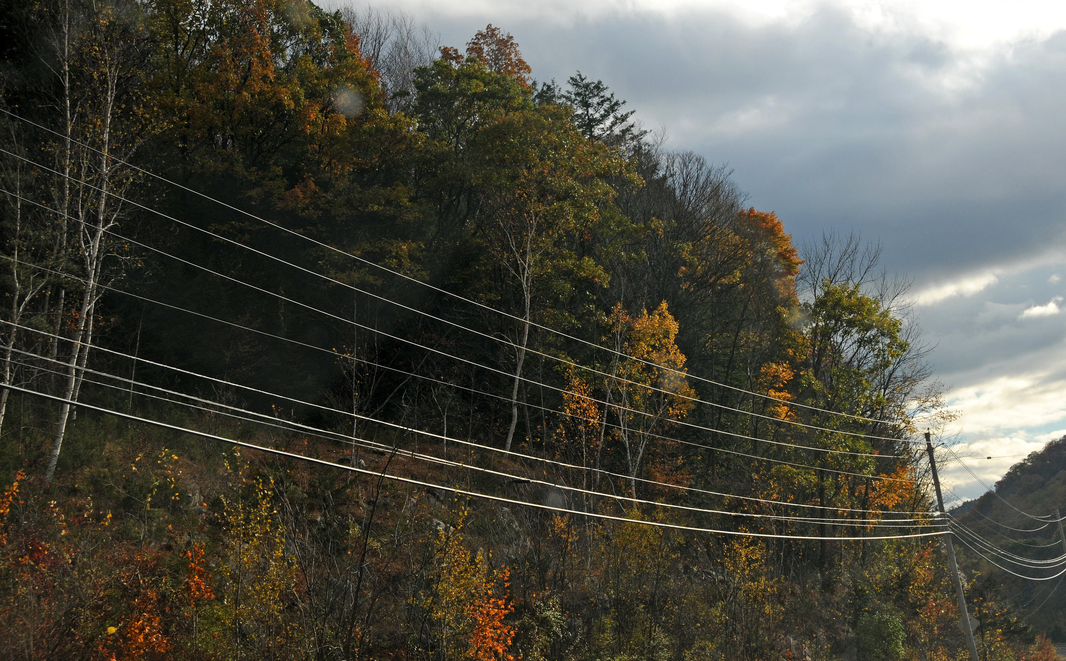 DSC_6769.JPG