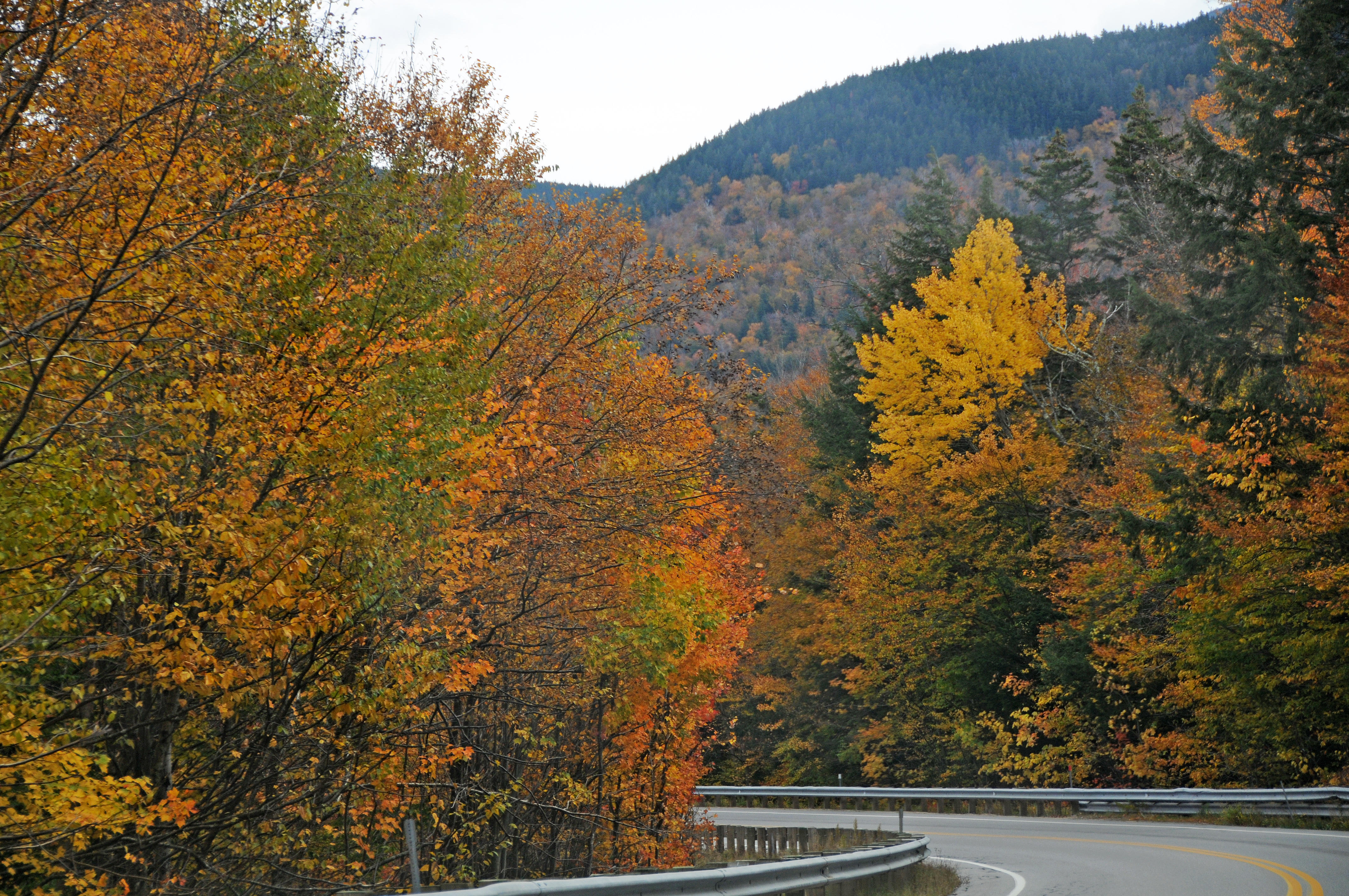 DSC_5645.JPG