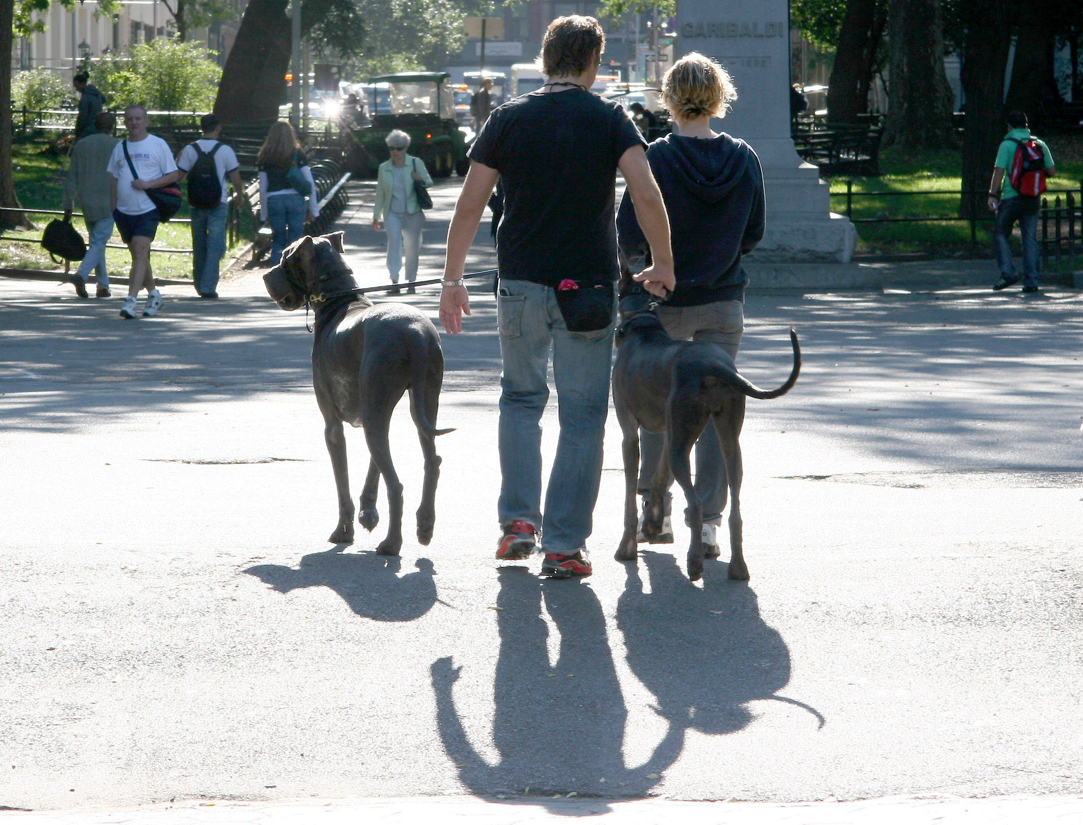Danes Out for a Walk
