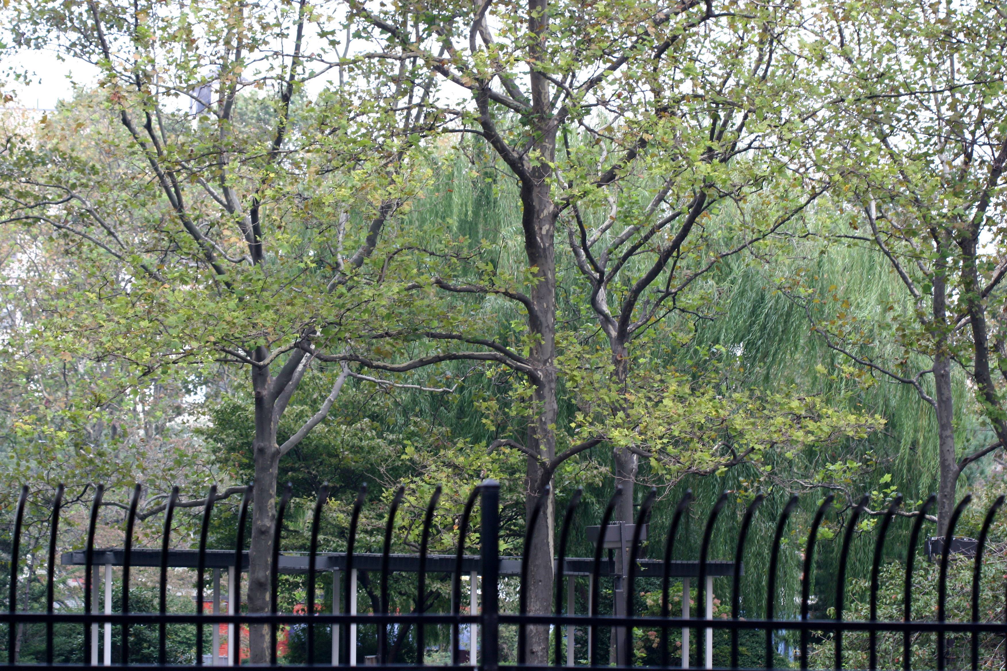 Washington Square Village Playground & Garden