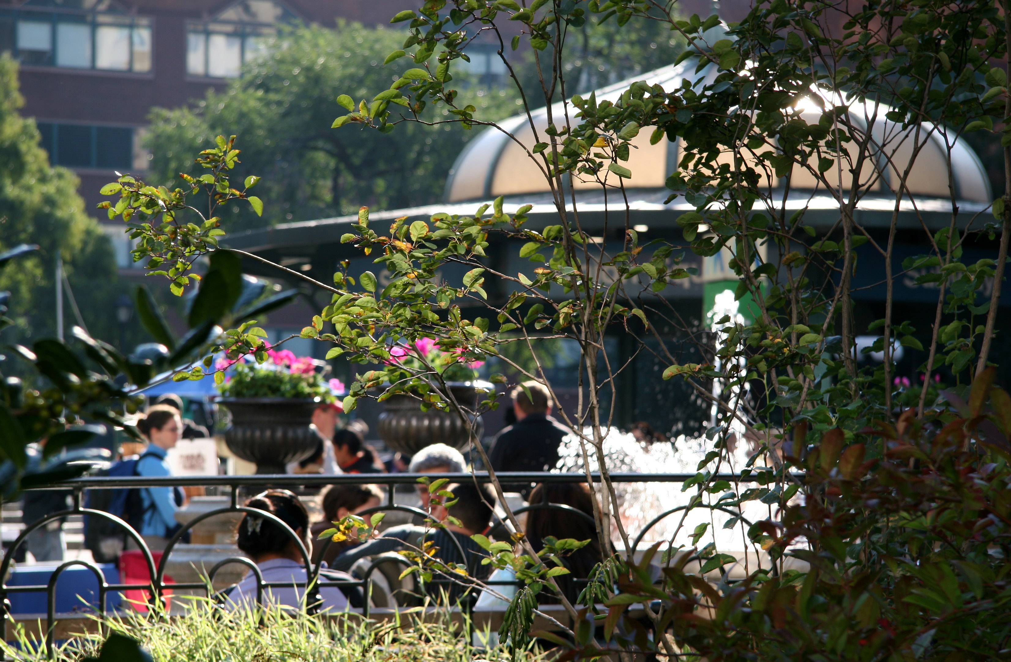 Fountain & Subway Station Dome