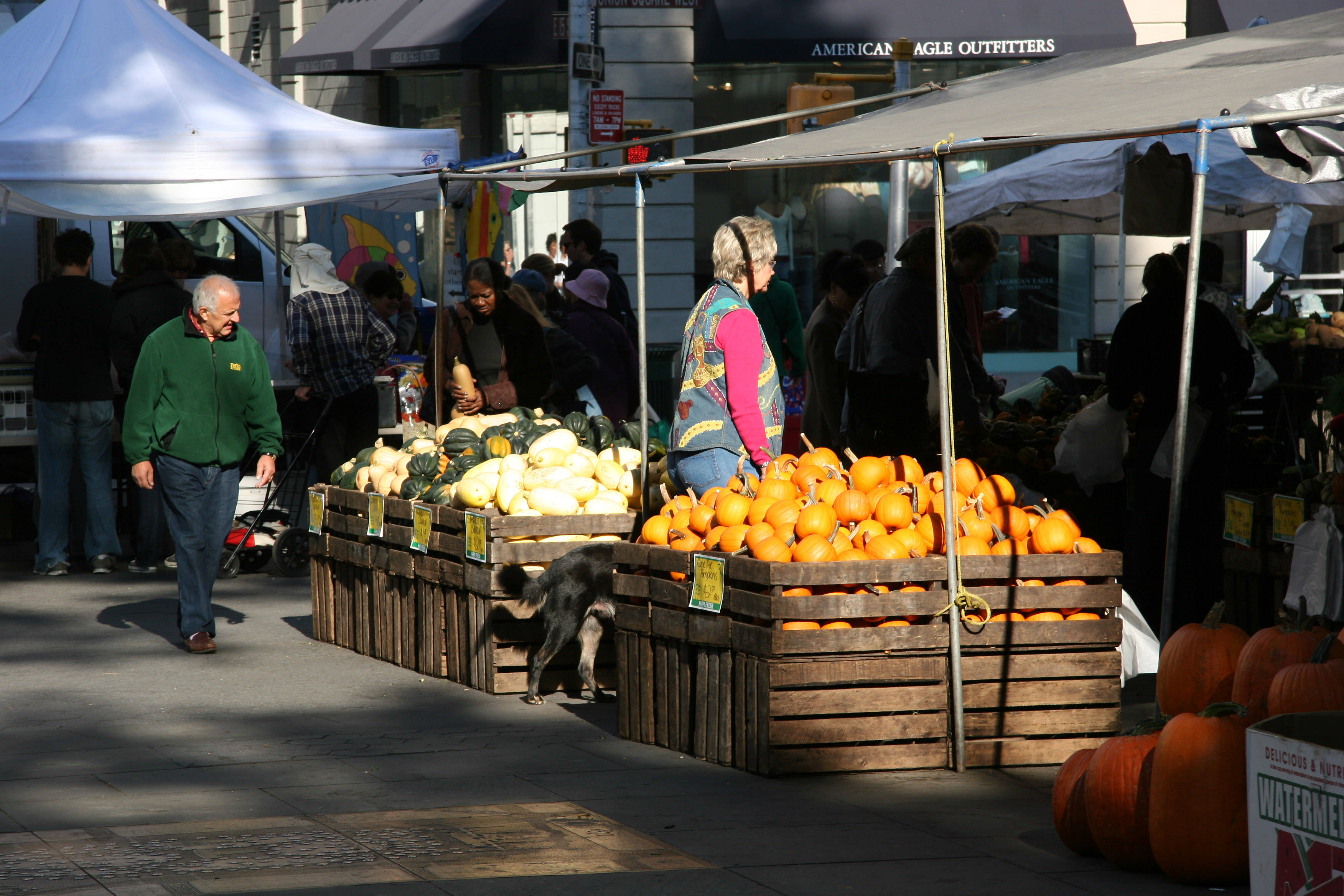 Pumpkins & Squash