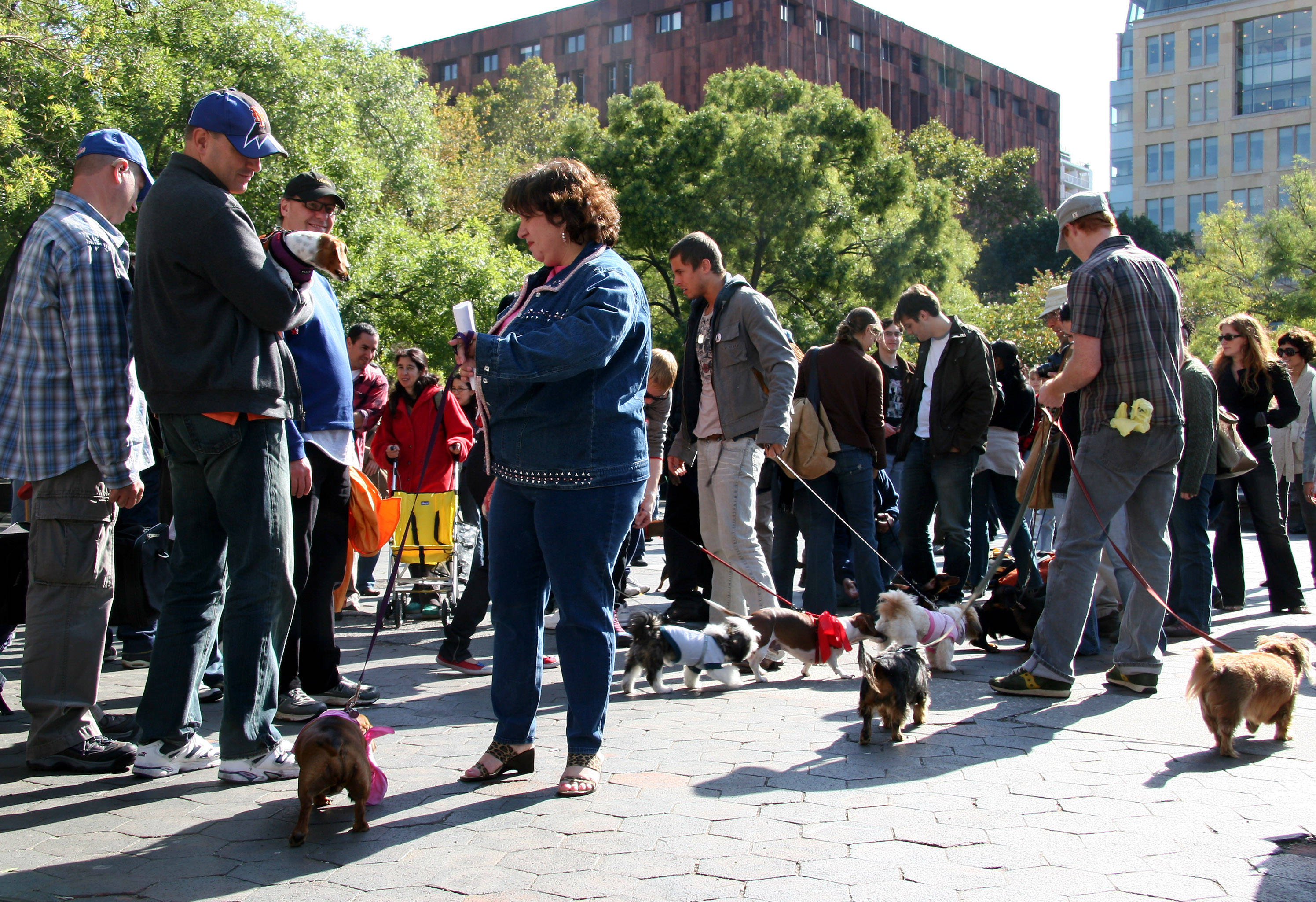 Dachshund Day with Friends