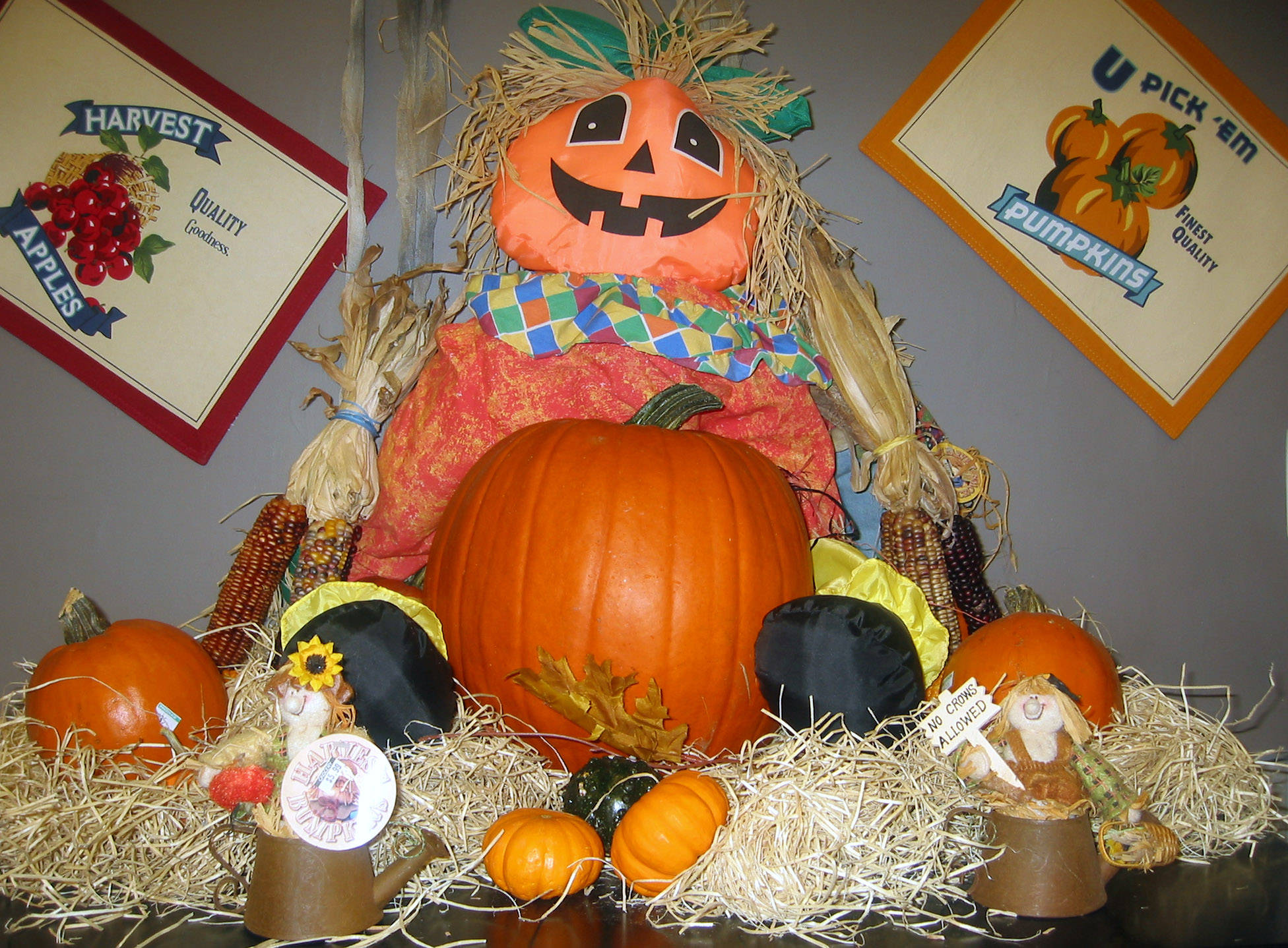 Supermarket Harvest Display