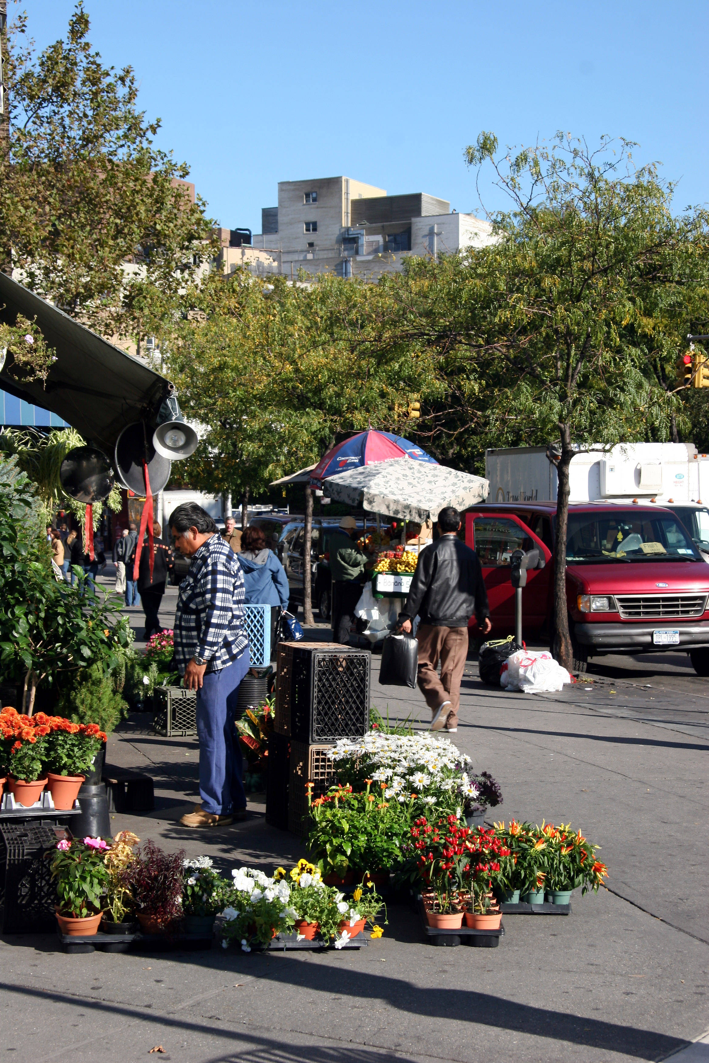 Florist at Greenwich Avenue