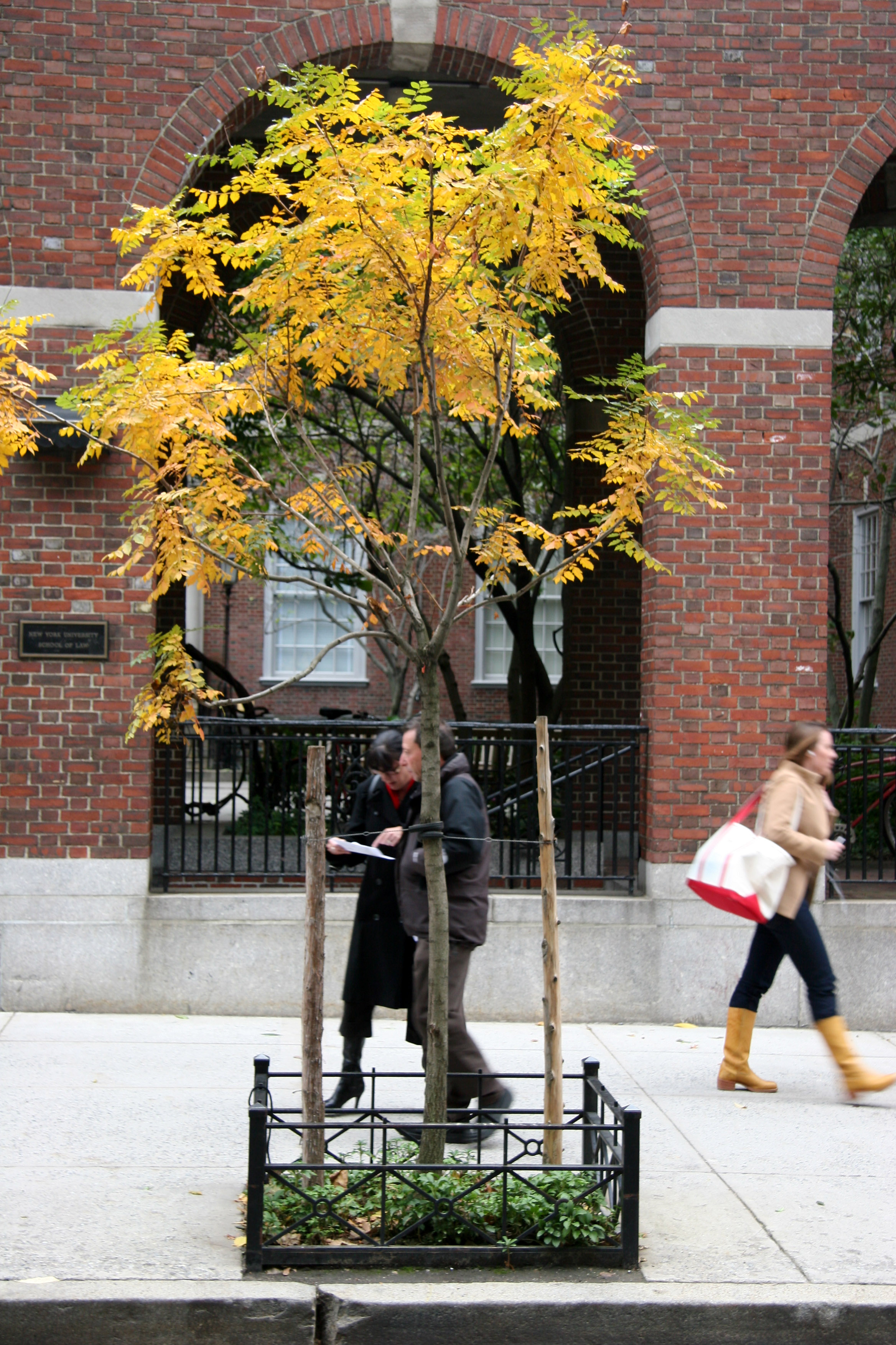 NYU Law School - Vanderbilt Hall