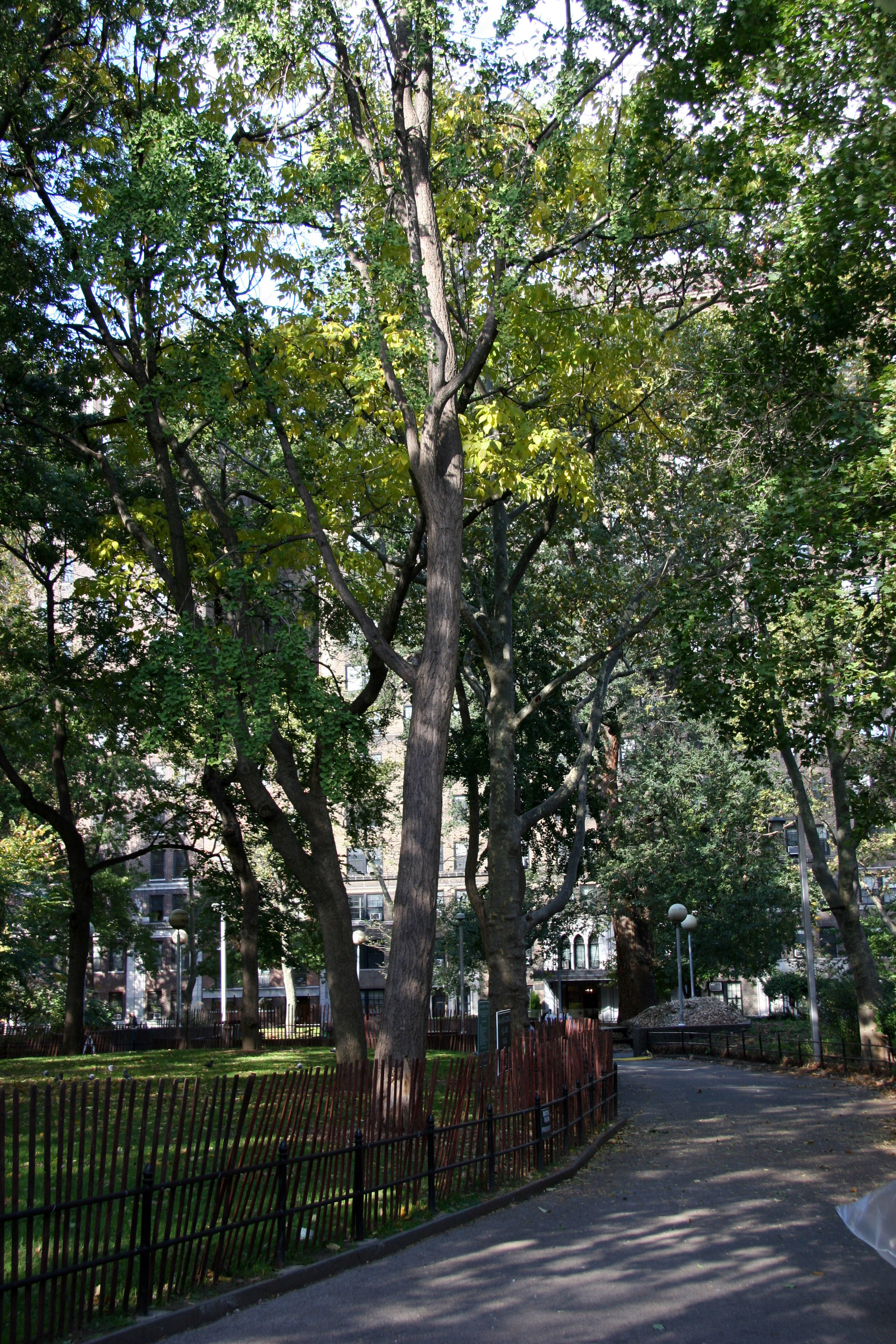 Path to Washington Square West
