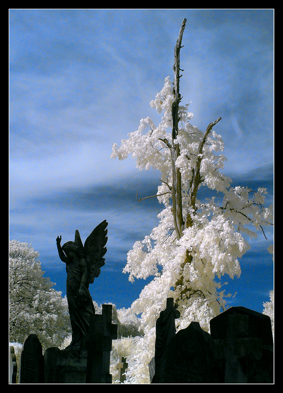 Kensal Green Cemetery,London