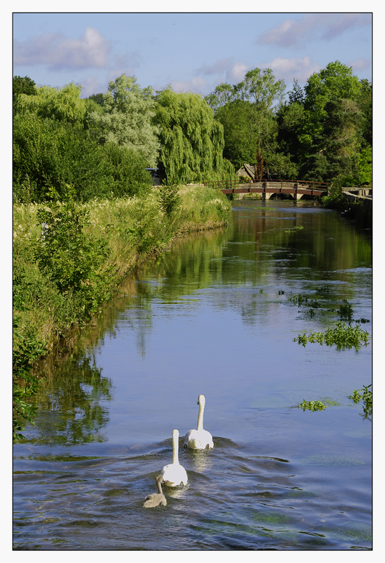 River Coln,Bibury