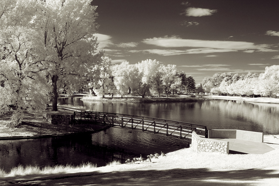 The Bridge