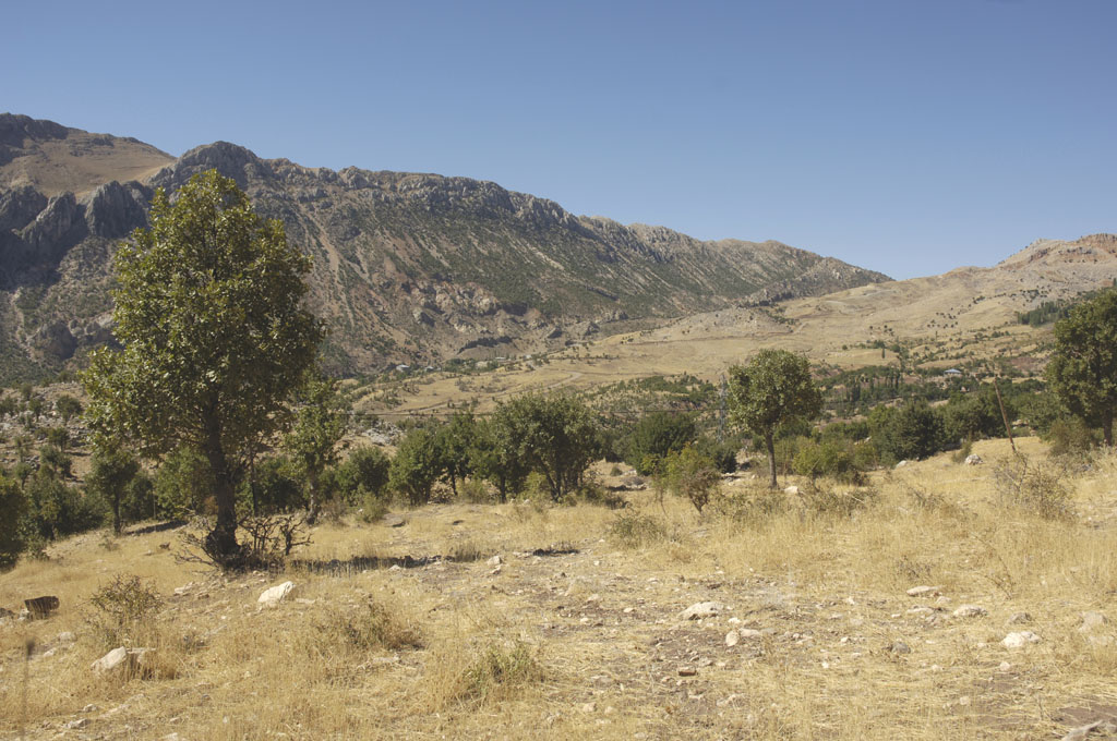 Karadut 2006 09 1649.jpg