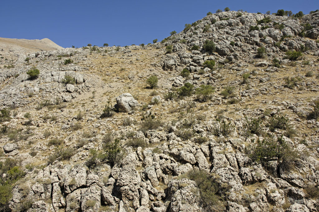 Nemrut 2006 09 1406.jpg