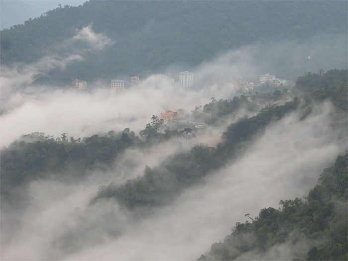 Tam-Dao.jpg
