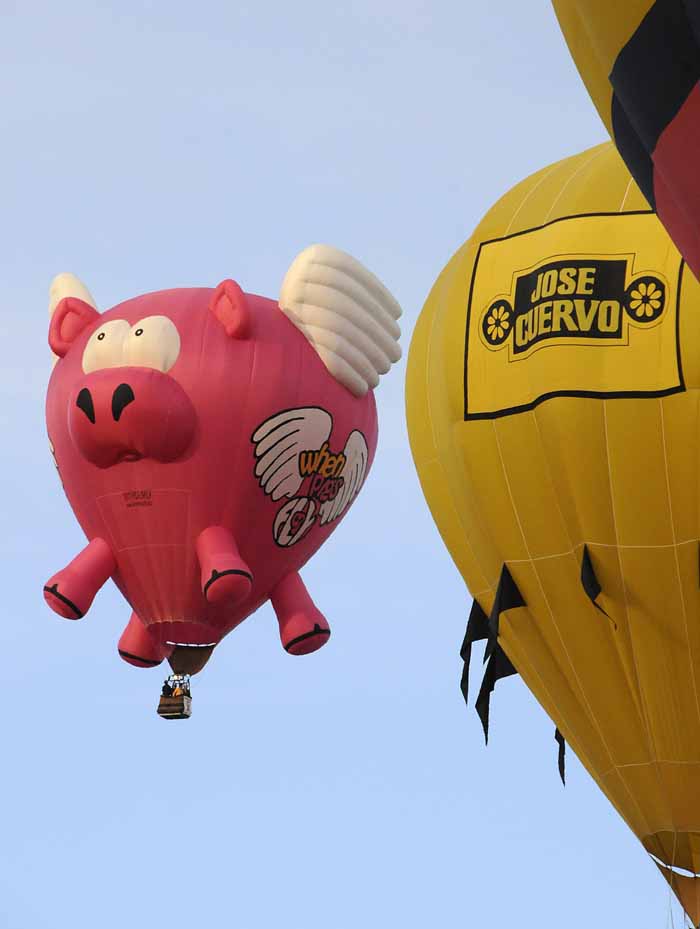 When Pigs Fly...