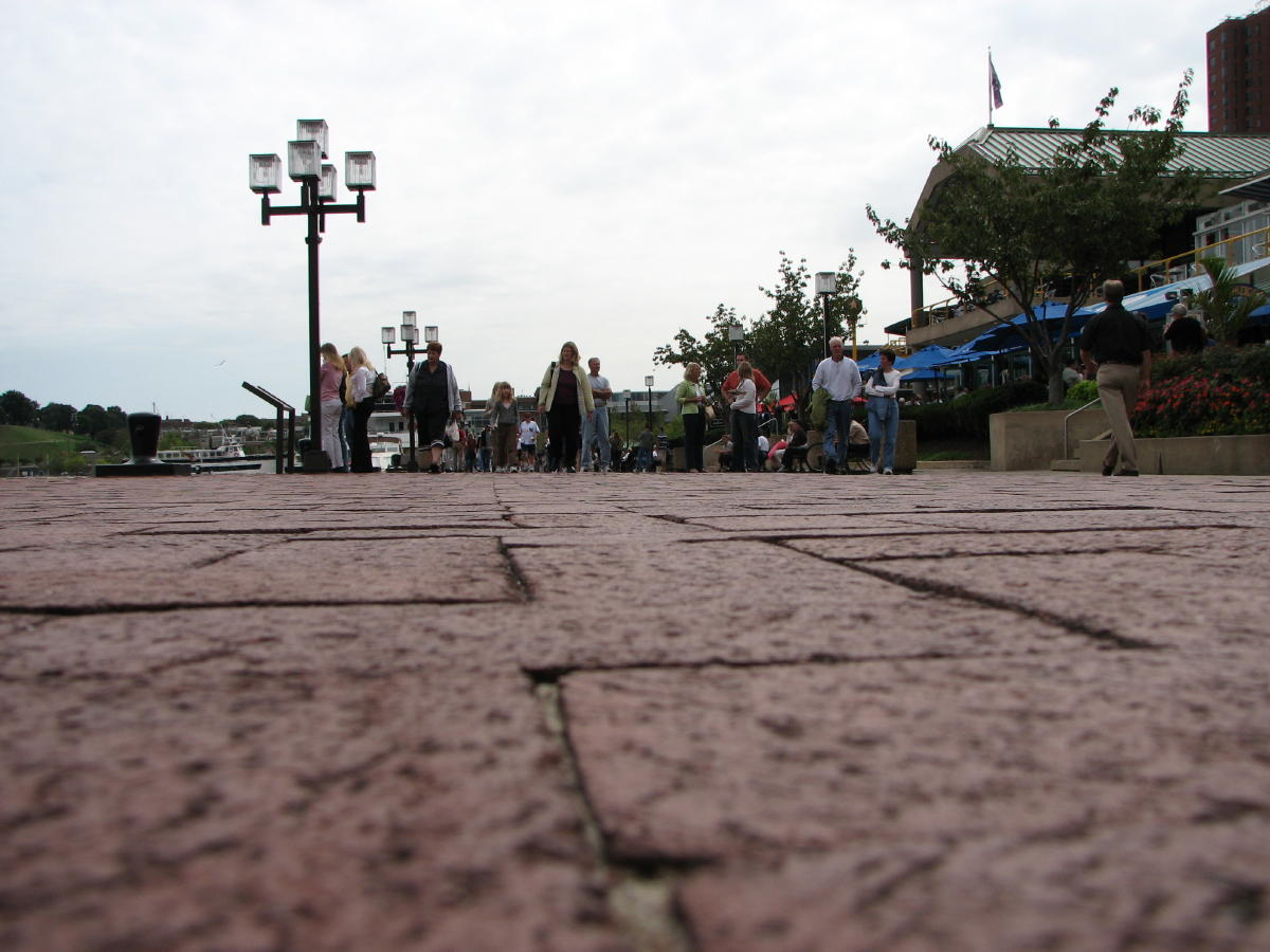 ants eye view.jpg