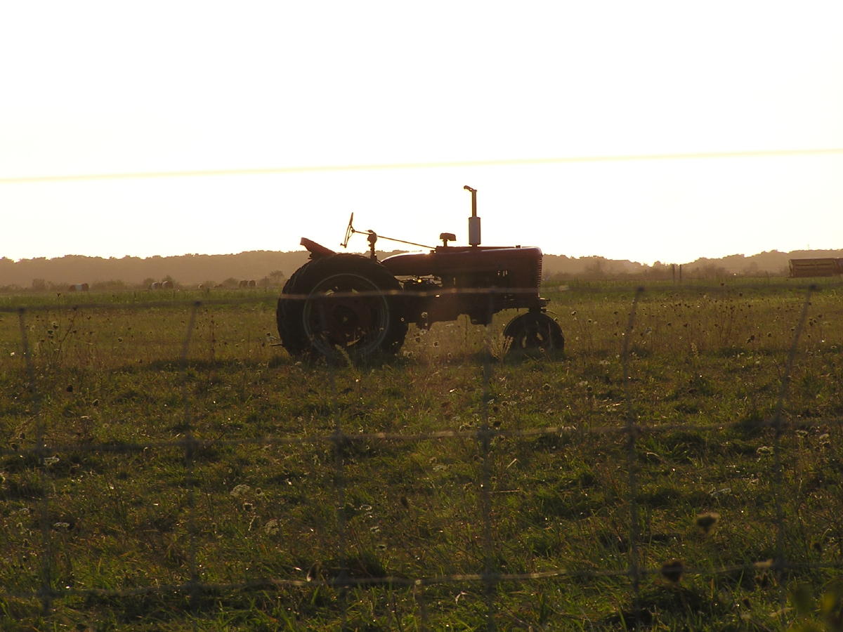 Katama Farm Edgartown.jpg