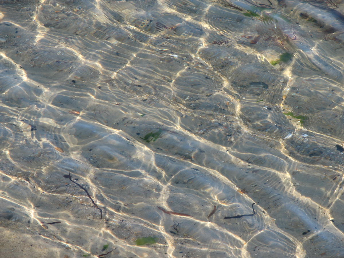 Sunlight-Water Reflections.jpg