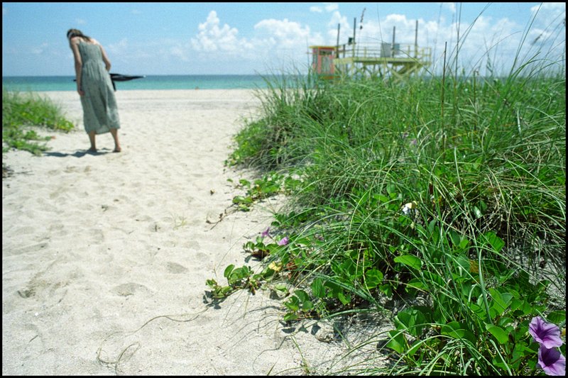 Haulover Beach