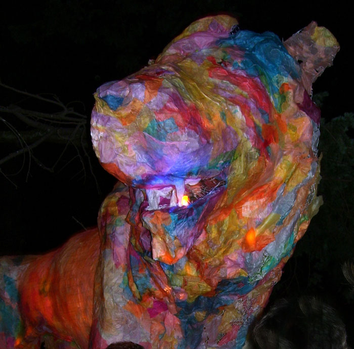 The Lions Face