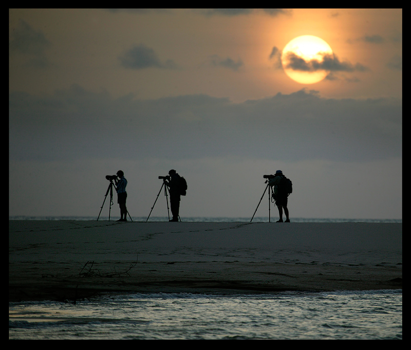 Birdwatching on the beach of Boa Vista