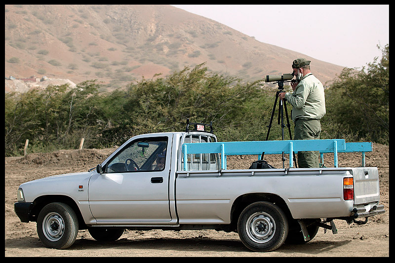  ke Svensson birdwatching in Mindelo - Sao Vicente