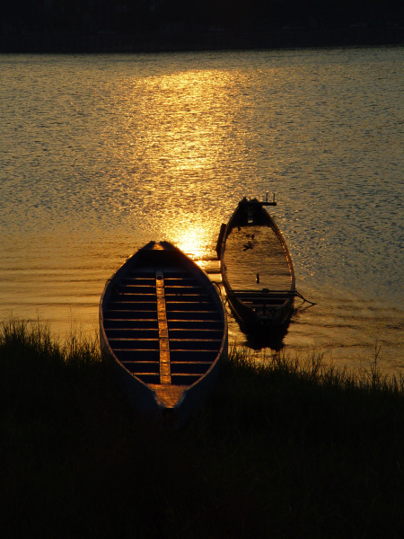 Old Dragon Boats