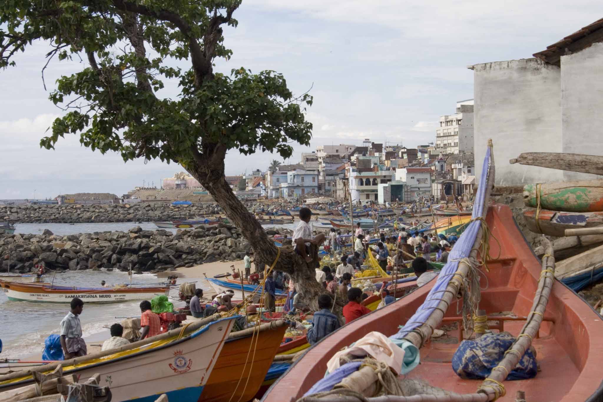 Fishing village, with bendy tree