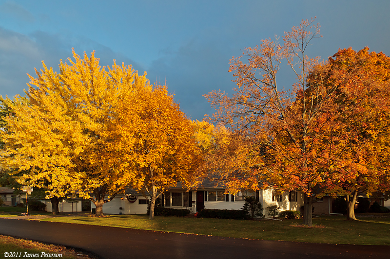 Autumn (18942)