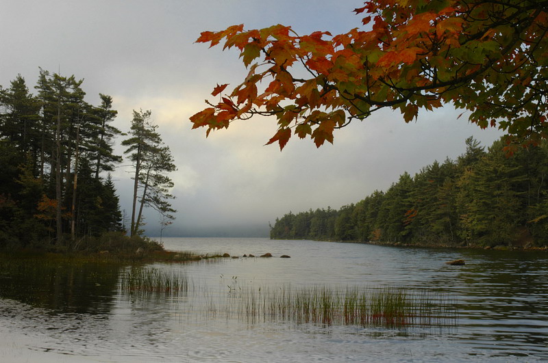 Eagle Lake Acadia 06