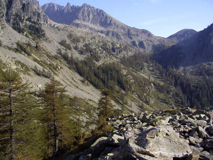 on the way back down