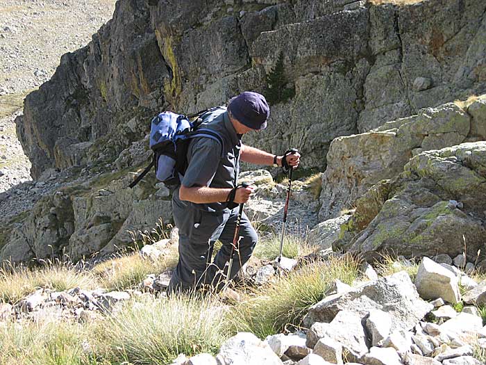 intrepid walker