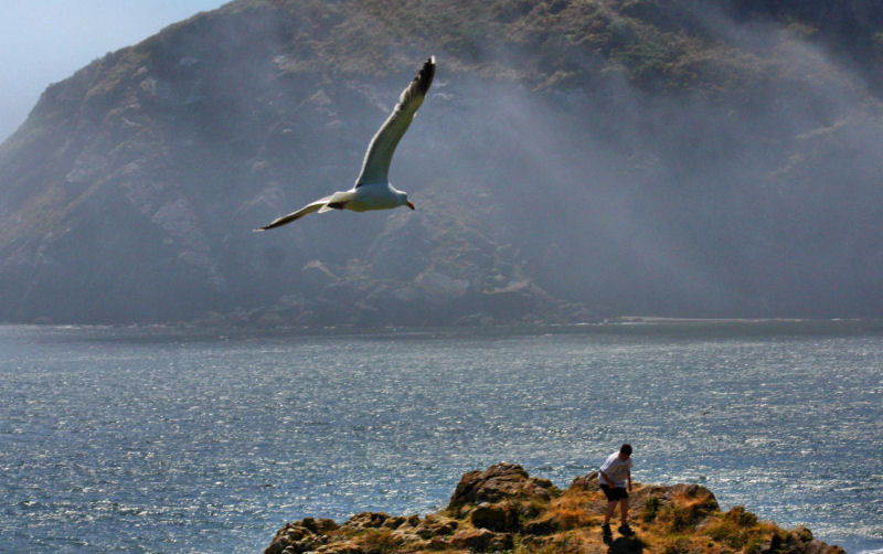 Brookings Harris Beach 00.jpg