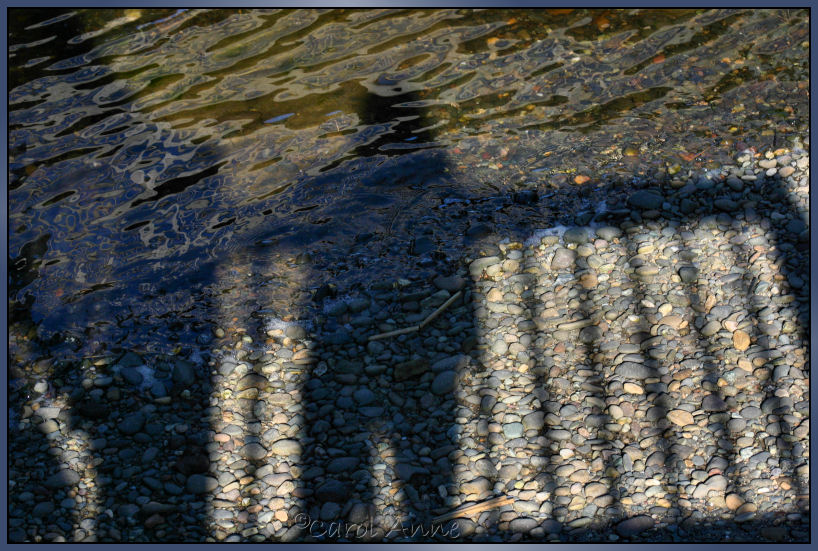 Carol Anne at the River