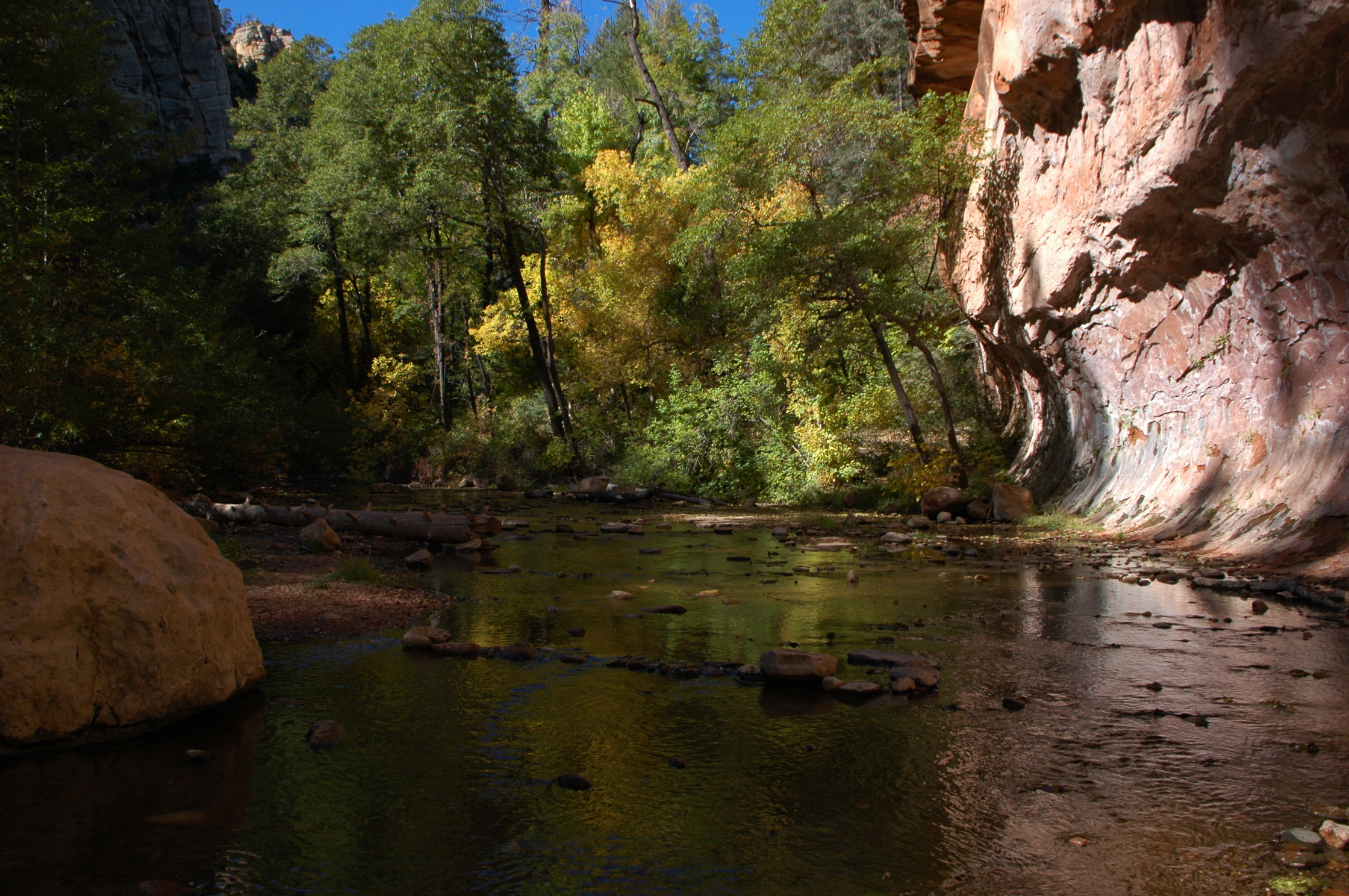 West Fork of Oak Creek Canyon